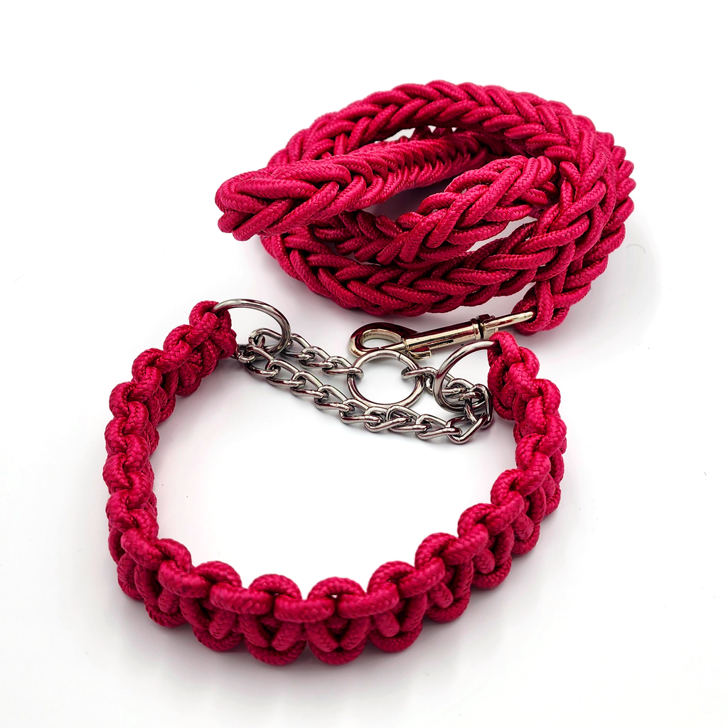 Correa con collar tejido