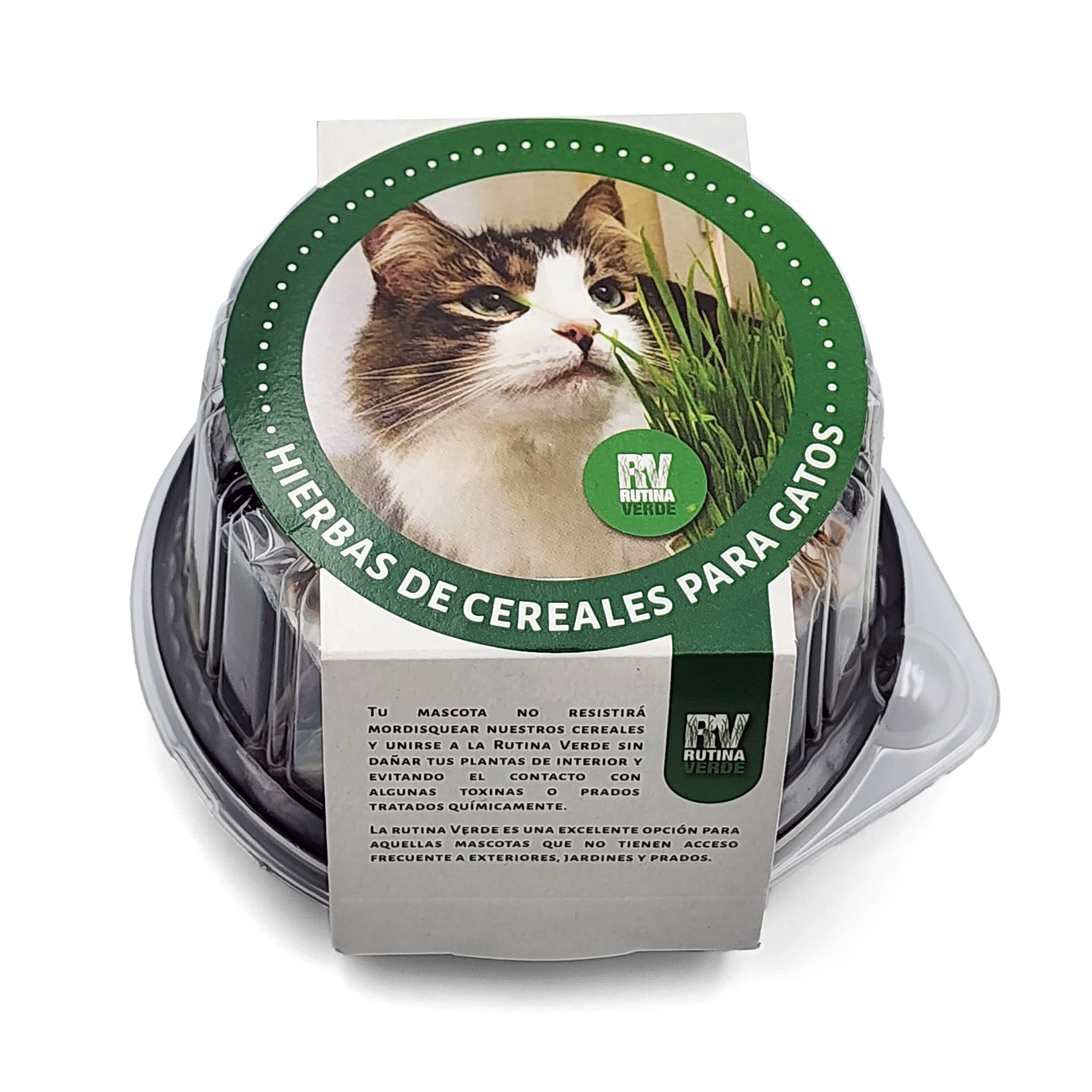 Rutina Verde - Kit de Pasto Natural para Gatos