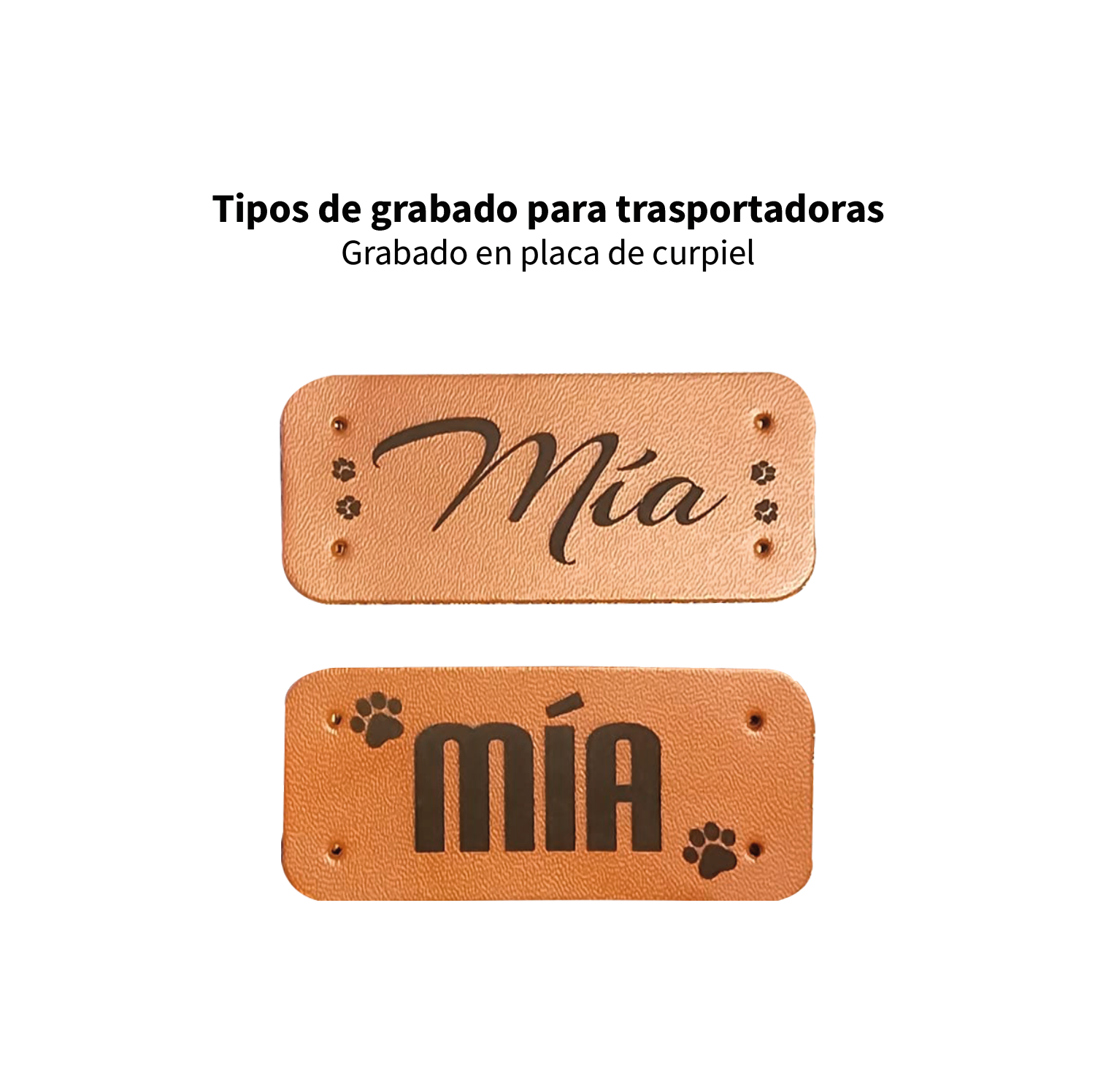 Transportadoras personalizada con el nombre de tu peludo