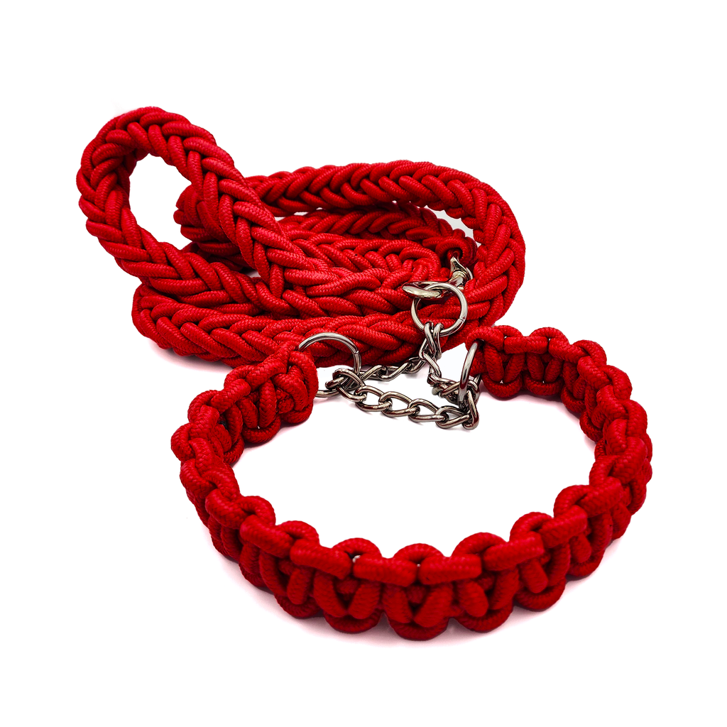 Correa con collar tejido