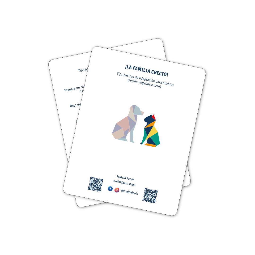 Canasta de bienvenida "Por fin estoy en casa" para michis