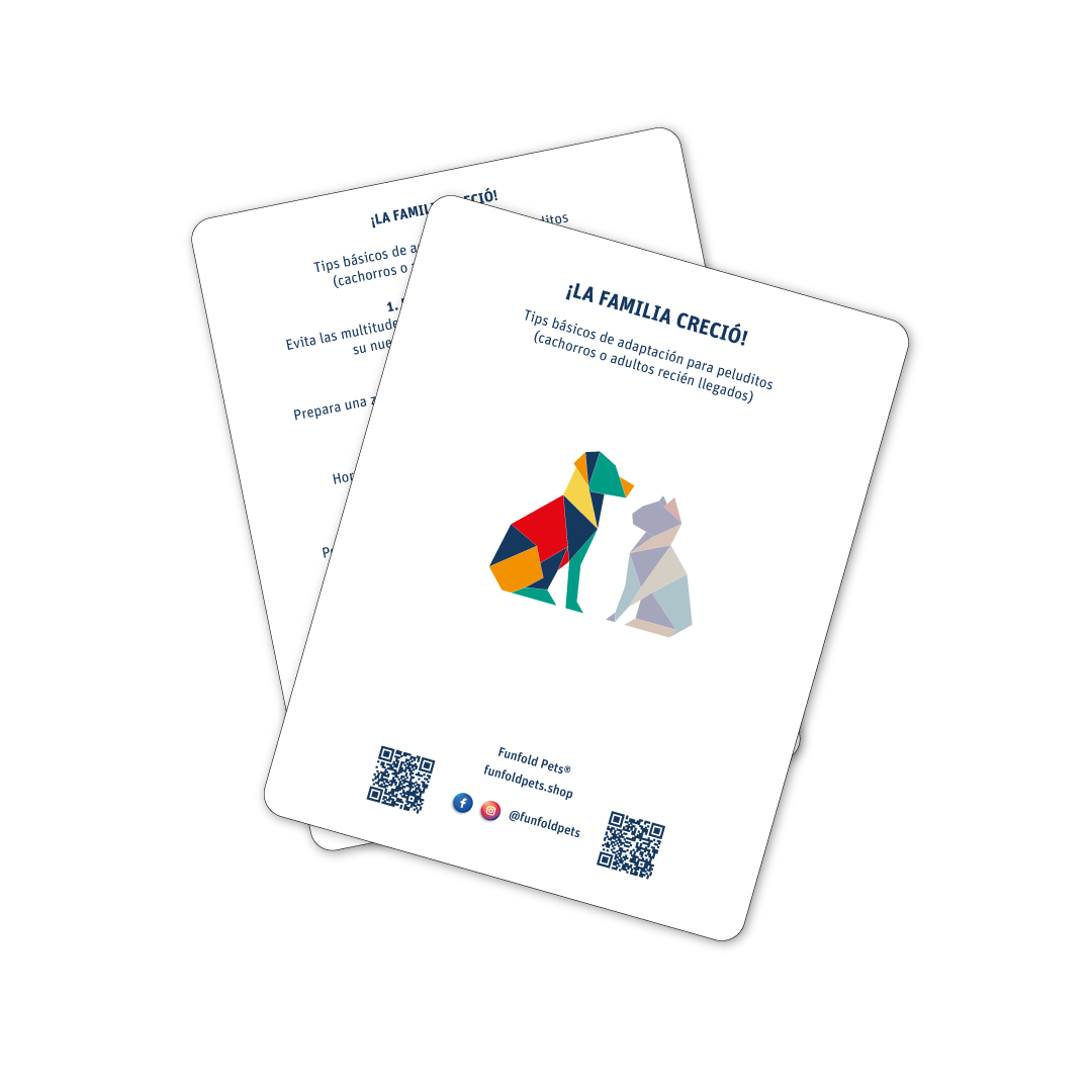 Canasta de bienvenida “Por fin estoy en casa" para peludos